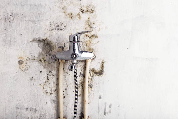Best Mold Remediation  in Spanish Springs, NV