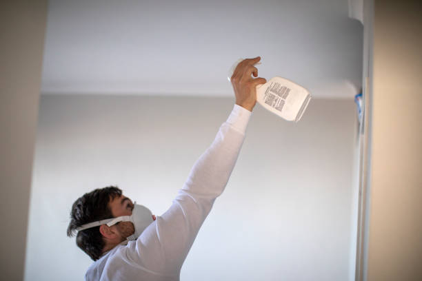 Best Black Mold Removal  in Spanish Springs, NV