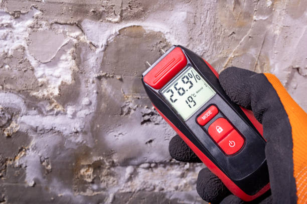 Best Fast Mold Removal  in Spanish Springs, NV