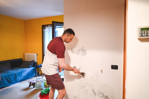 Office Mold Removal Services in Spanish Springs, NV